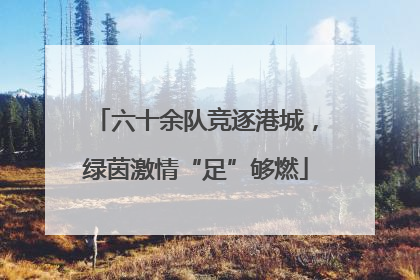 六十余队竞逐港城，绿茵激情“足”够燃